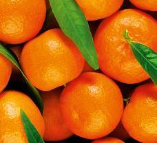 Tökéletesen édes, gondosan válogatott mandarinok