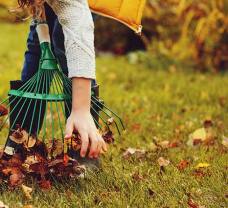 November: elérkezett a berkenye, csipkebogyó és téli kertészkedés ideje