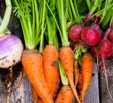 Tavaszi szezonzöldségek: vitamindús receptek
